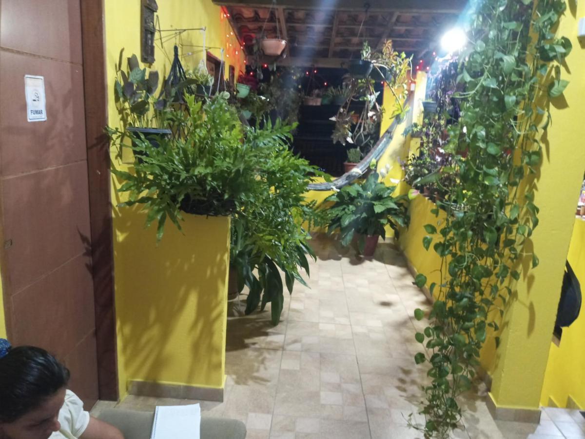 Porto Hostel Порту-Сегуру Экстерьер фото